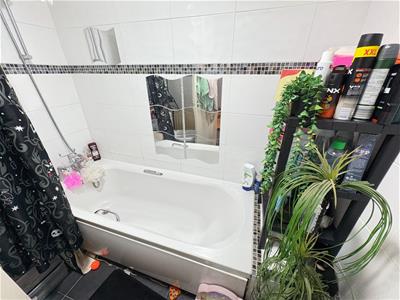 Picture 5